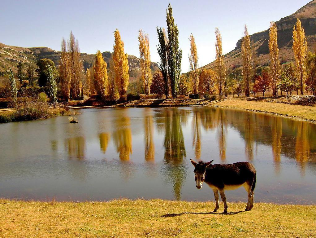 Lake Clarens Guest House Exteriör bild