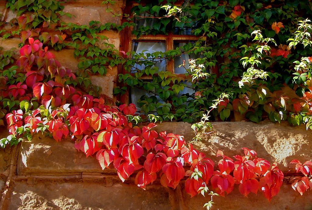 Lake Clarens Guest House Exteriör bild