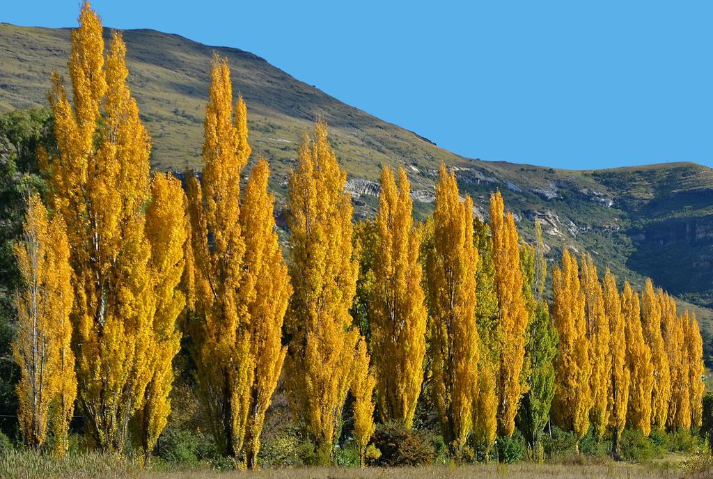 Lake Clarens Guest House Exteriör bild