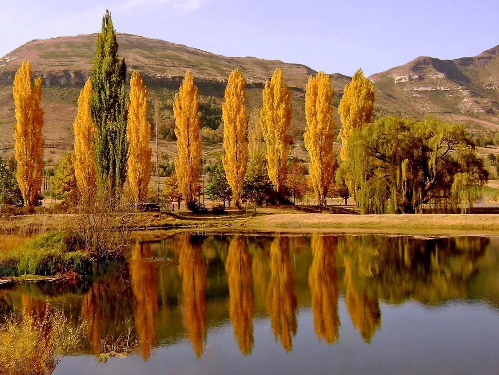 Lake Clarens Guest House Rum bild