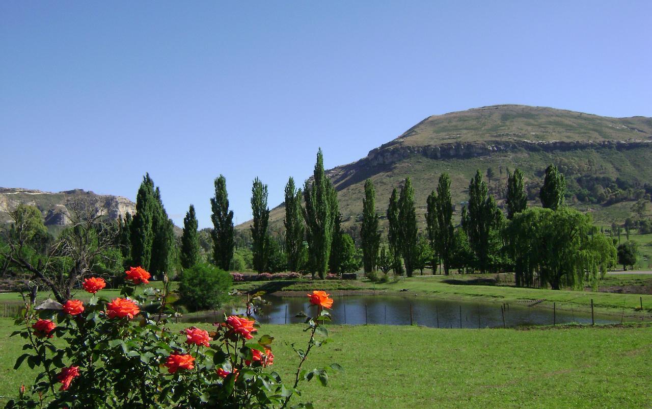 Lake Clarens Guest House Exteriör bild
